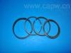 Поршневое кольцо Piston Rings:12033-5V110