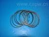 Piston Rings:12041-1W400