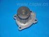 水泵 Water Pump:21010-EE025
