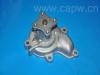水泵 Water Pump:21010-D0194