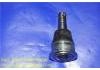 球头 Ball Joint:40160-0E000