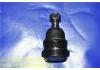 球头 Ball Joint:40160-2Y000