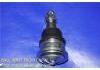 球头 Ball Joint:40160-31U00