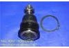Rótula de dirección Ball Joint:40160-50Y10