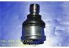 球头 Ball Joint:40160-ED000