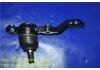 Rótula de dirección Ball Joint:43340-29185