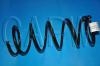 Muelle de chasis Coil Spring:55020-0E011