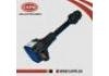 Bobina de encendido Ignition Coil:22448- 8H300