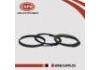 Piston Rings:12033-8J100