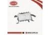 Air Bag:73960-0E030