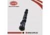 Arbre à cames Camshaft:13020-AD202