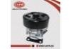 水泵 Water Pump:21010-CJ70A