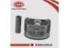 Piston Piston:A2010-8H501