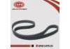 皮带 Belt:11720-1VA0A