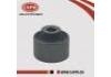 下悬挂 Lower Suspension Arm:54560-1HJ0A