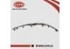 保险杠饰条 Bumper trim:62075-JN05A